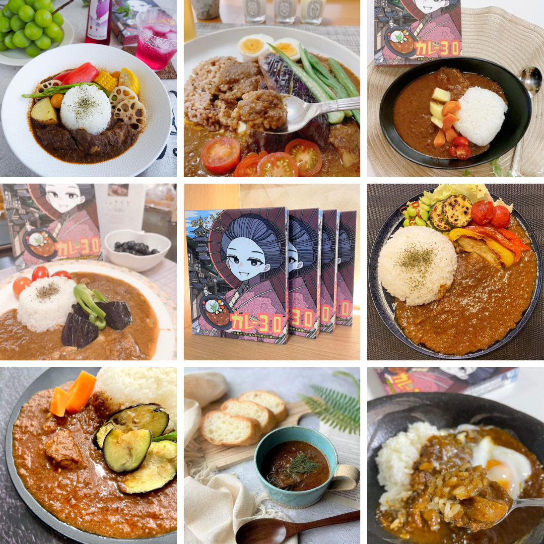 カレー3.0~京風出汁香る赤出汁味噌&山椒ver.~